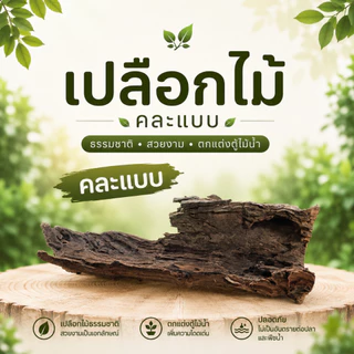 ขอนไม้แต่งตู้ปลา 25cm ชนิดไม่จม เปลือกไม้ธรรมชาติ ไม้เทอราเรียม ยึดมอส ไม้น้ำ ที่หลบปลา แต่งสวนถาด