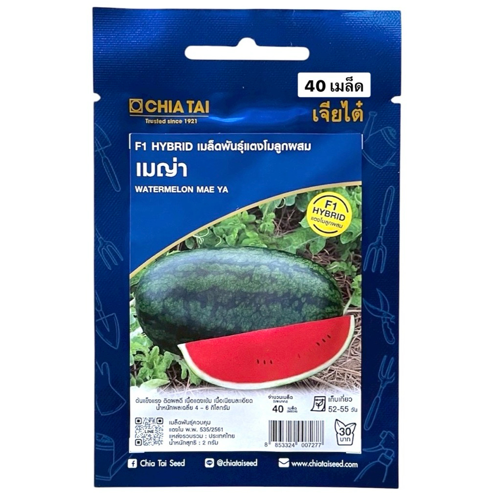 เจียไต๋ แตงโม เมญ่า น้ำหนัก 4-6 กก (ประมาณ 40 เมล็ด)