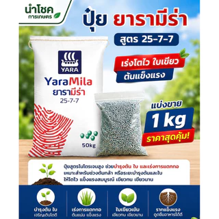 [แบ่งขาย 1-5 kg] ปุ๋ยยารามีร่า 16-16-16 / 25-7-7 / 46-0-0 (เม็ดใส) ปุ๋ยบำรุงต้น บำรุงใบ พืชแข็งแรง