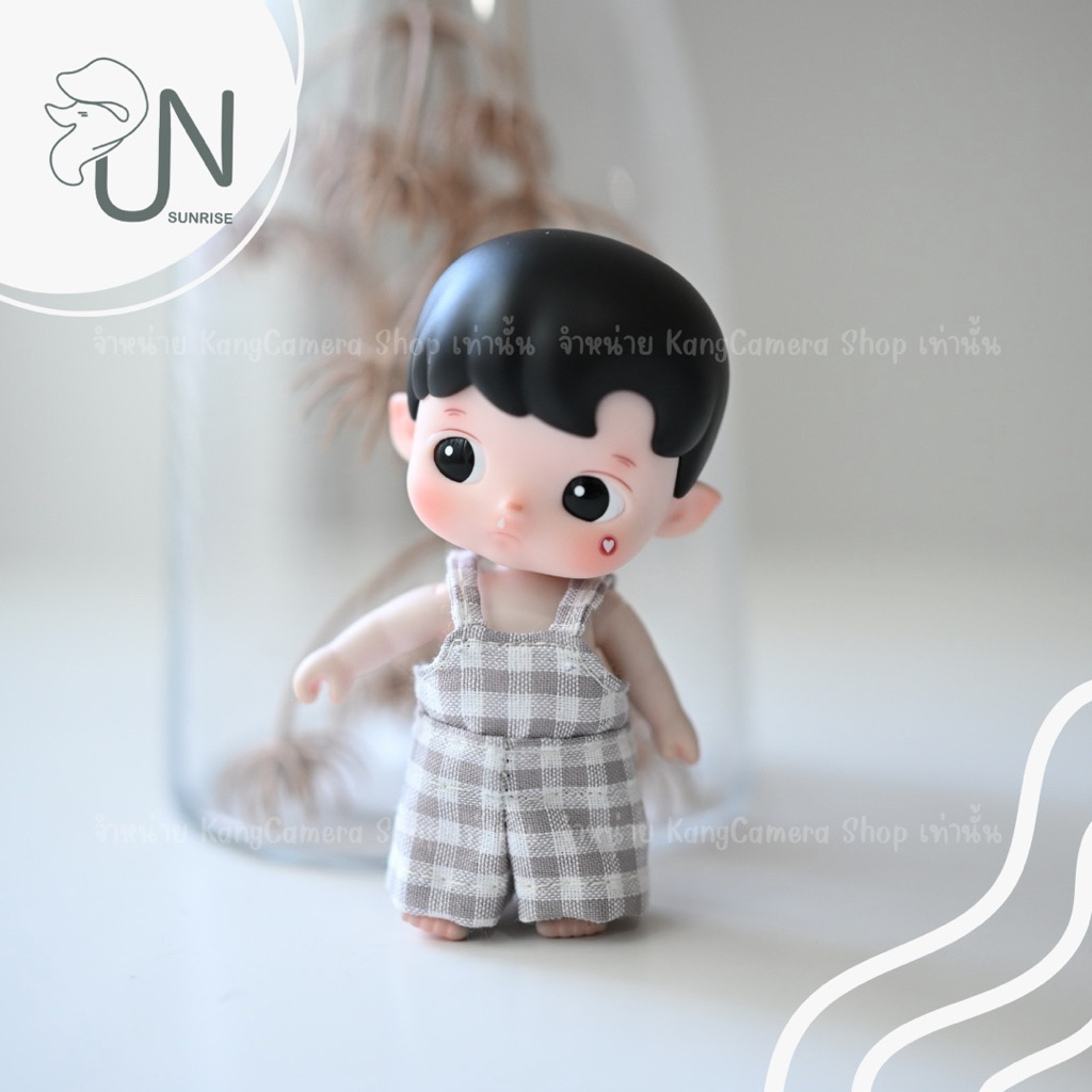 ชุดฮาชิ hacipupu enchanted realm tales ตัดเย็บตรงรุ่น รูปที่ 8