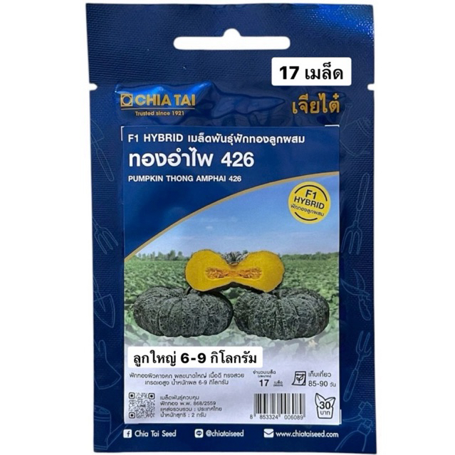 เจียไต๋ ฟักทอง ทองอำไพ 426 (17 เมล็ด) ลูกใหญ่ 6-9 กิโลกรัม