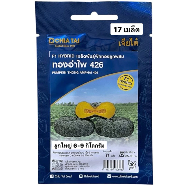 เจียไต๋ ฟักทอง ทองอำไพ 426 (17 เมล็ด) ลูกใหญ่ 6-9 กิโลกรัม