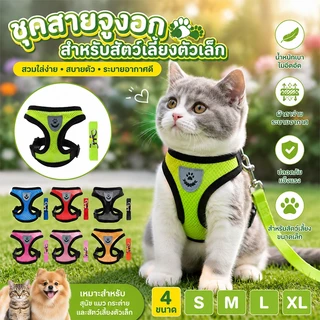 สายจูงแมว สายจูงสุนัข เชือกจูงแมว สายจูงหมา สายจูง สําหรับสัตว์เลี้ยง สุนัข แมว กระต่าย ขนาดเล็ก