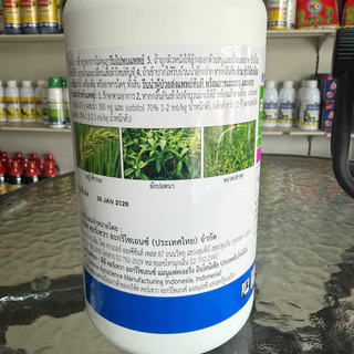 ลอแยนต์® (Loyant®) สารกำจัดวัชพืช 800 ซีซี กลุ่ม 4 ใหม่ล่าสุด ปราบหญ้าดื้อยาในนาข้าว หญ้าป้องหิน หญ้าข้าวนก ของแท้ 100%