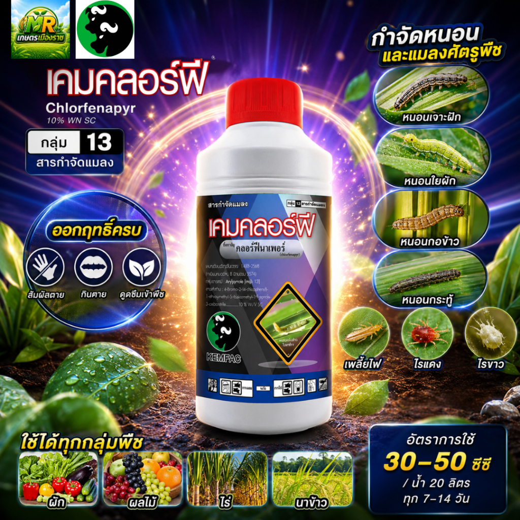 เคมคลอร์ฟี (คลอร์ฟีนาเพอร์ 10%W/V S/C) 1L #เกษตรเมืองราช #เคมแฟค