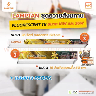 (ยกกล่องแพ็ค3หลอด)LAMPTAN ชุดหลอดไฟฟลูออเรสเซนต์ถวายสังฆทานจัดชุด แพ็ค3หลอด ขนาด 18w และ 36w แสงขาว