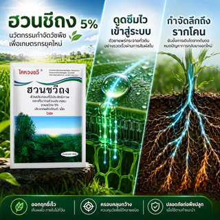 ยาฆ่าไผ่ ยาฆ่าหญ่ 500g ไม่ทำลายดิน รวดเร็ว ทนนาน ผงกำจัดต้นไม้ ผงกำจัดกอไผ่ ยาฆ่าตอ ไม้ ยาฆ่าไม่ไผ่ ยาฆ่าตอต้นไม้
