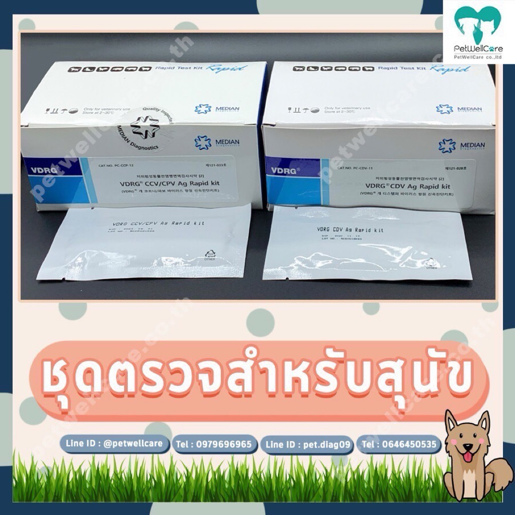 ชุดตรวจโรคลำไส้อักเสบสำหรับสุนัข (CCV/CPV Ag)