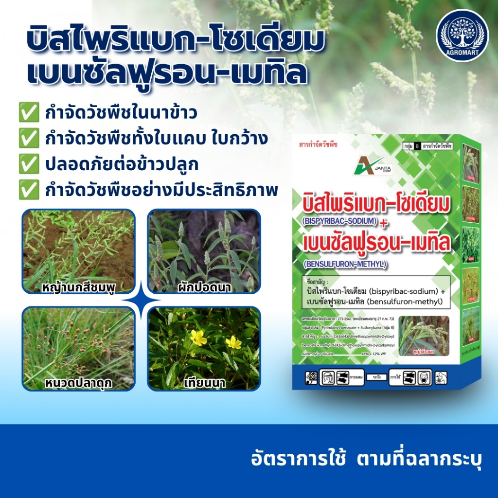 บิสไพริแบก-โซเดียม + เบนซัลฟูรอน-เมทิล ยาคุมเลน ฆ่าหญ้าในนาข้าว 15-45 วัน กำจัดวัชพืช ใบแคบ ใบกว้าง