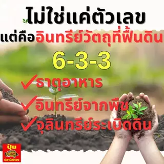 ปลานิลทอง ปุ๋ยอินทรีย์ ปรับหน้าดิน กระสอบ 25 กก ลดความเป็นกรดในดิน ทำให้ดินร่วนซุย เพิ่มธาตุอาหาร สร้างสมดุลธาตุอาหารในด