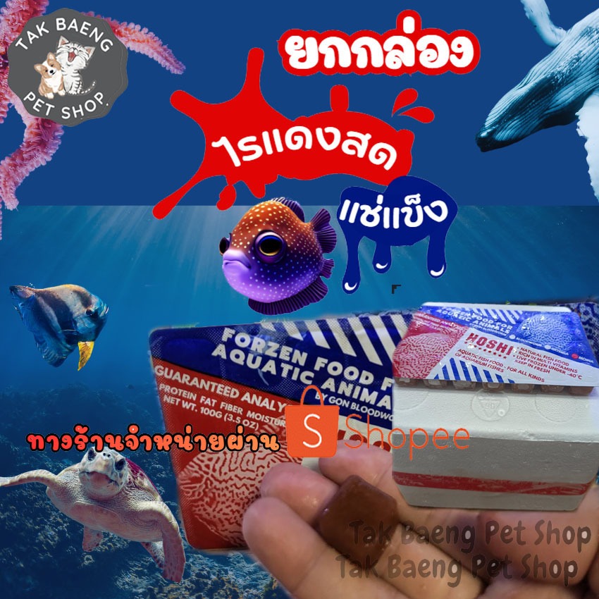 ส่งรวดเร็ว  ไรฝุ่นแช่แข็ง ไรแดง HOSHI อาหารปลาสัตว์น้ำแรกเกิด ยกกล่อง 7 แพ็ค ฟรีกล่องโฟมเจลเย็น จำหน่ายผ่าน shopee