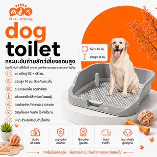 ถาดรองฉี่สุนัข ห้องน้ำสุนัข 2 ชั้น มีเสาถอดได้ ถาดฉี่สุนัข แบบมีเสา กระโถนในร่มแบบเรียบง่าย มีตะแกรงรองถาด ที่รองฉี่