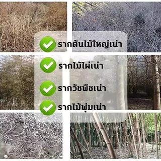 GEMI หยดรากเน่า ยาฆ่าต้นไม้ใหญ ยากำจัดต้นไม้ 200ml สูตรเข้มข้น ยาฆ่าตอต้นไม้ สารกำจัดกอไผ่ ยาฆ่