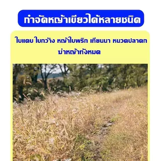 GEMI หยดรากเน่า ยาฆ่าต้นไม้ใหญ ยากำจัดต้นไม้ 200ml สูตรเข้มข้น ยาฆ่าตอต้นไม้ สารกำจัดกอไผ่ ยาฆ่