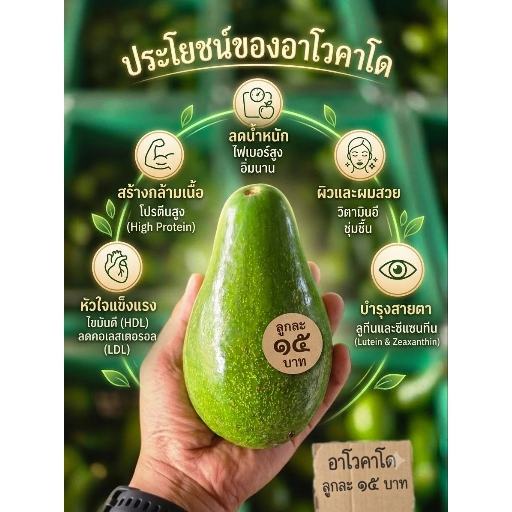 ⚡️ส่งฟรี..ถูกมาก⚡️AVOCADO A034,พื้นเมืองไทยคละทรง เหนียว มัน เนย หนึบ ***ลูกละ 10 บาท***