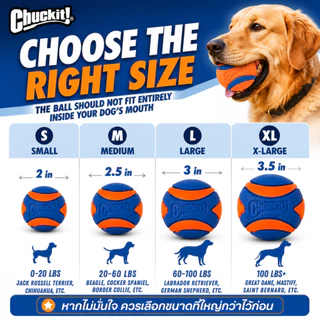 🇺🇸นำเข้าจาก USA🇺🇸 Chuckit! Ultra Squeaker Ball ลูกบอลบีบมีเสียง ยางพรีเมียม กระเด้งสูง ลอยน้ำได้ ทนทาน
