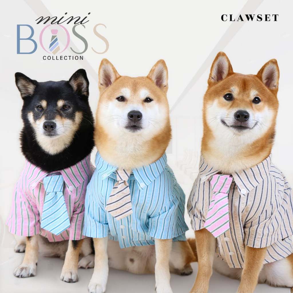 เสื้อผ้าสัตว์เลี้ยง Mini Boss Collection | CLAWSET.BKK