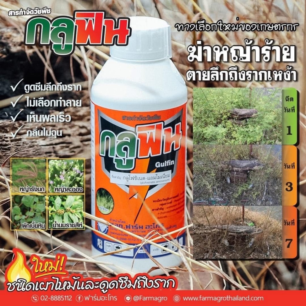 โล๊ะราคาดี กลูฟิน กลูโฟซิเนต1ลิตร กำจัดวัชพืชทุกชนิดไม่เลือกทำลาย ชนิดเผาไหม้