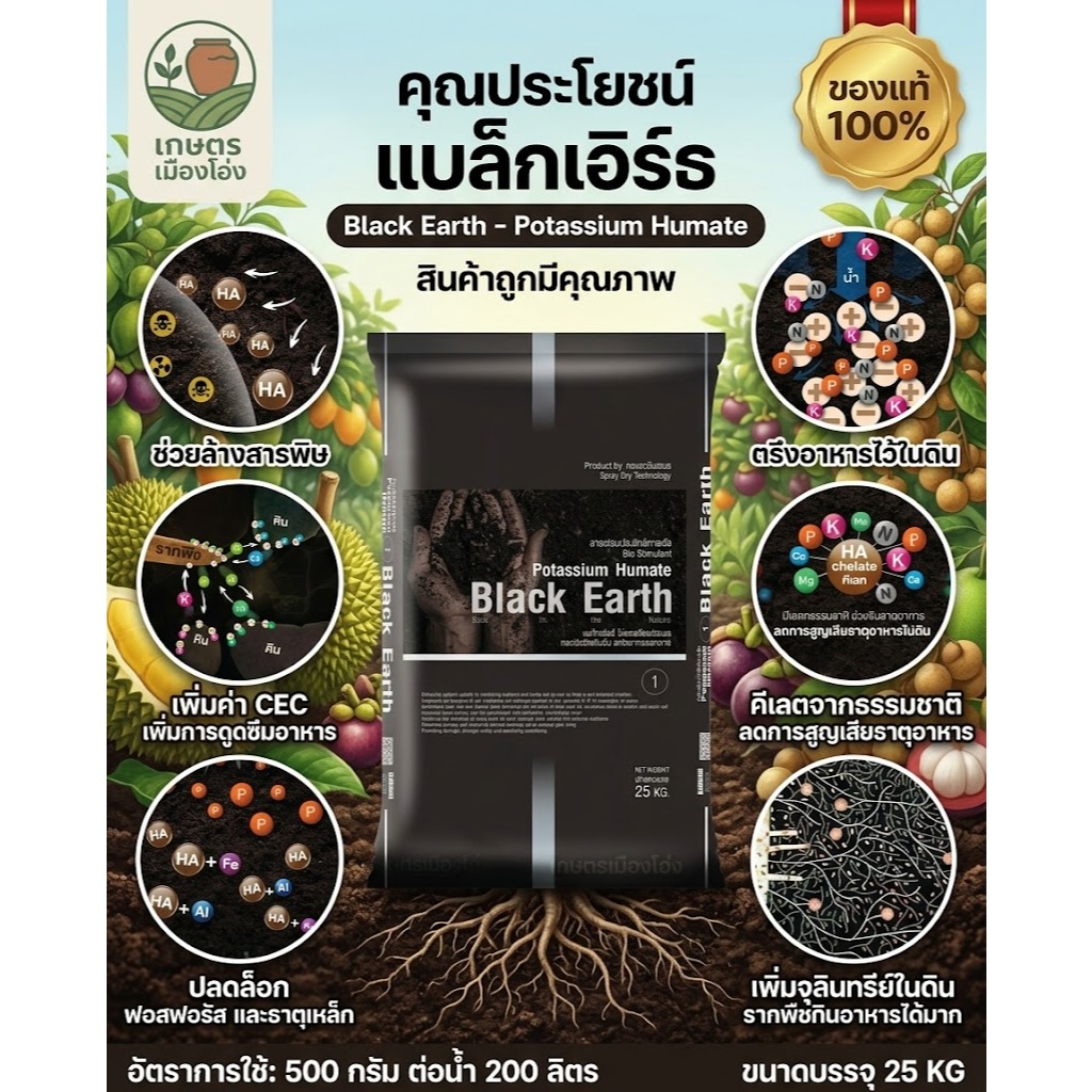 ยกกระสอบ แบล็กเอิร์ธ Black Earth ฮิวมิกผง พรีเมียมฮิวมิก แบบสเปรย์ดรายละลายน้ำได้ง่าย 25กก