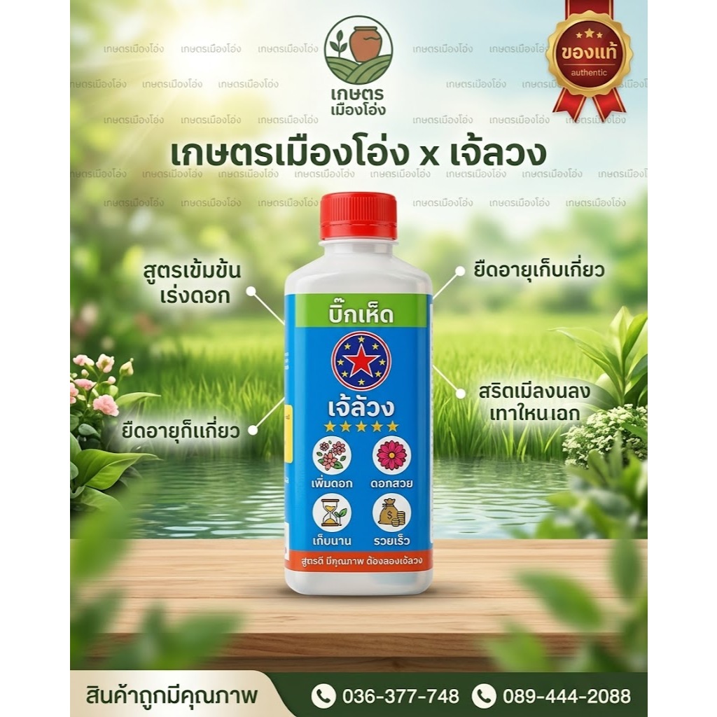 บิ๊กเห็ดสูตรเร่งใย เร่งดอก ขึ้นดก ดอกสวย เก็บนาน ใช้ได้กับเห็ดทุกชนิด สูตรเร่งใย เร่งดอกดก ดอกสวยเก็บนาน รวยเร็ว