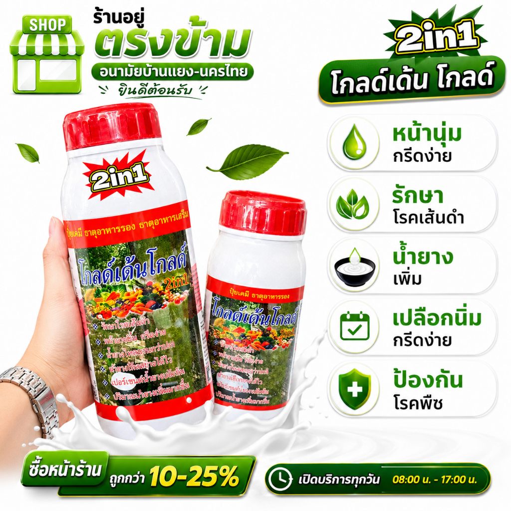 ยาทาบำรุงหน้ายาง โกลด์เด้นโกลด์ รักษาหน้ายางพารา ขยายท่อน้ำยาง น้ำยางไหลได้นานและมากกว่าปกติ หน้านิ่มกรีดง่าย(มี 2 ขนาด)