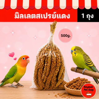 (ขนาด 500g.) มิลเลตสเปรย์แดง เป็นอาหารเสริมสำหรับนก โดยเฉพาะนกที่มีปัญหาในการกินอาหารหรือนกที่กำลังป่วย