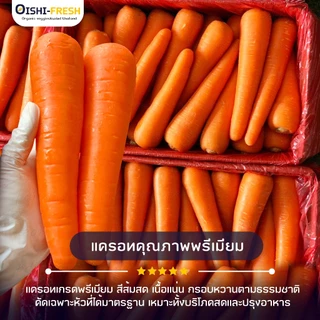 🚨ส่งด่วน🥢ร้านอาหาร🥕แครอท ปลอดสารพิษ 10 กก. ผักร้านอาหาร ผักยกลัง ผักราคาส่ง ผักชาบู ผักโรงแรม ส่ง 24 ชม.