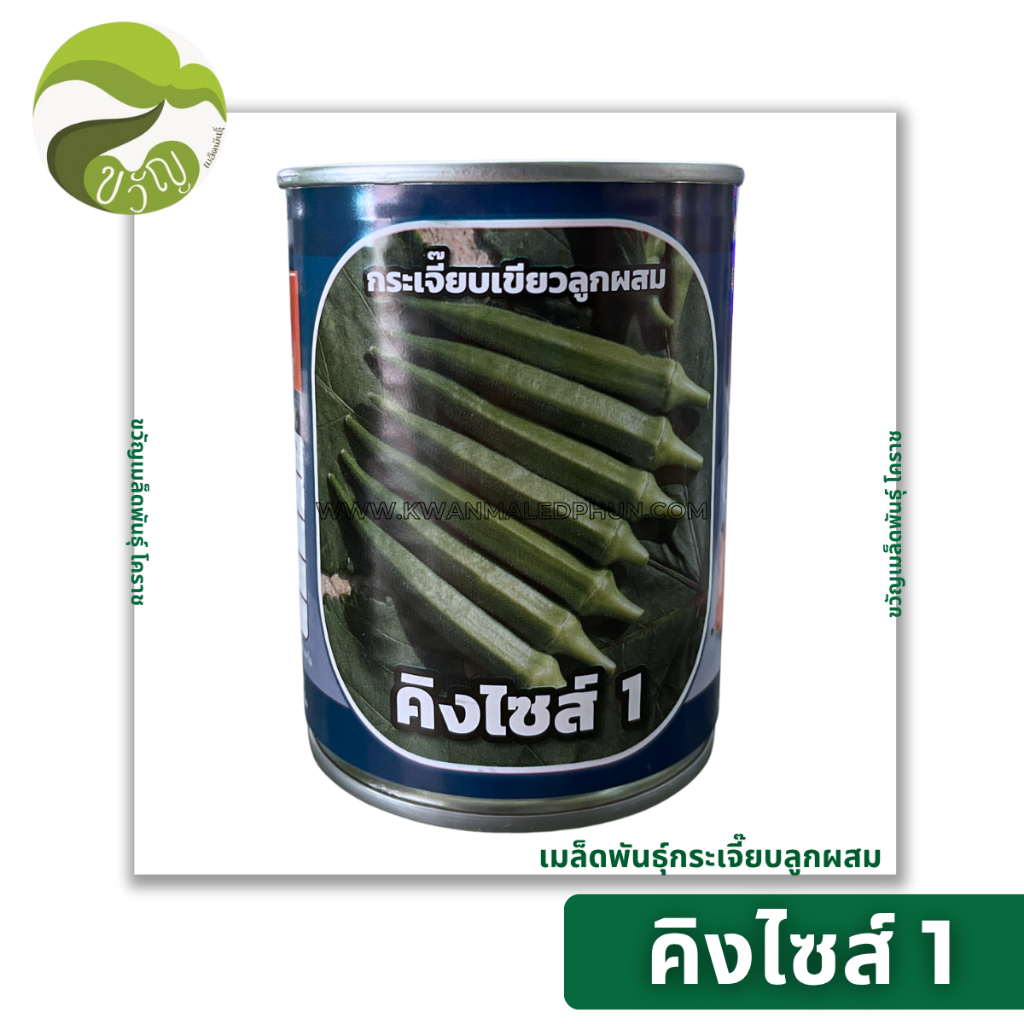 เมล็ดพันธุ์ กระเจี๊ยบเขียว คิงไซส์ 1 ทนโรค ลอตใหม่