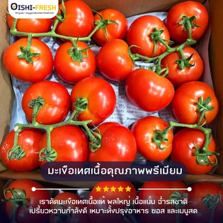 🛒Oishi-Fresh🍅มะเขือเทศเนื้่อ ปลอดสารพิษ 1 กก. รสชาติกรอบ สด ใหม่ ใยอาหารสูง หวานออร์แกนิค เคลมได้ 1-2 วัน