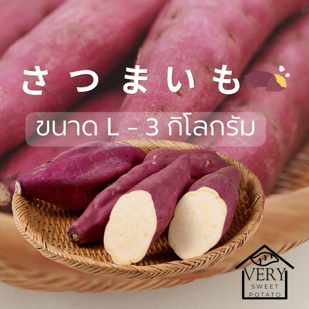มันหวานญี่ปุ่นแบบดิบ ขนาด M - 3 กิโลกรัม สายพันธุ์เบนิฮารุกะแท้ ปลูกญี่ปุ่น
