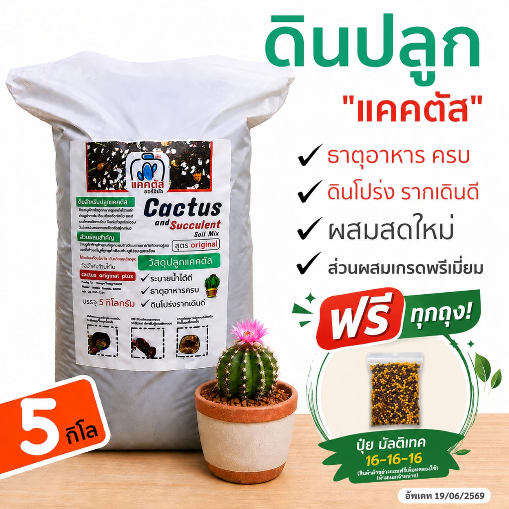 (ยกกระสอบ 5 กิโล) ดินปลูกแคคตัส ไม้อวบน้ำ ดินปลูกกระบองเพชร ผสมสำเร็จพร้อมปลูก เนื้อดินโปร่ง แร่ธาตุสูง (ดินผสมสดใหม่)