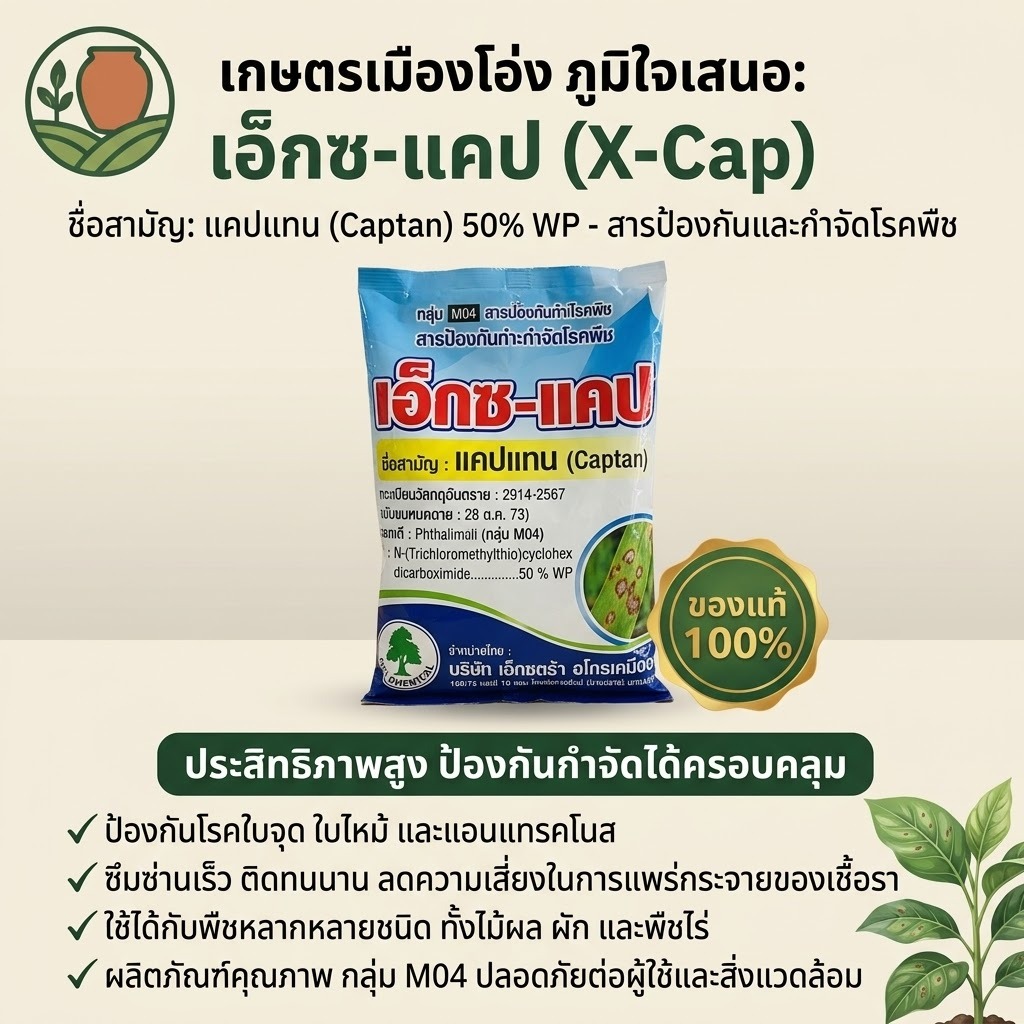 เอ็กซ-แคป (แบบถุง1กก) แคปแทน (captan) 50% WP ขนาดบรรจุ 1 กิโลกรัม #แคปเทน #captan #กันรา #กำจัดเชื้อรา