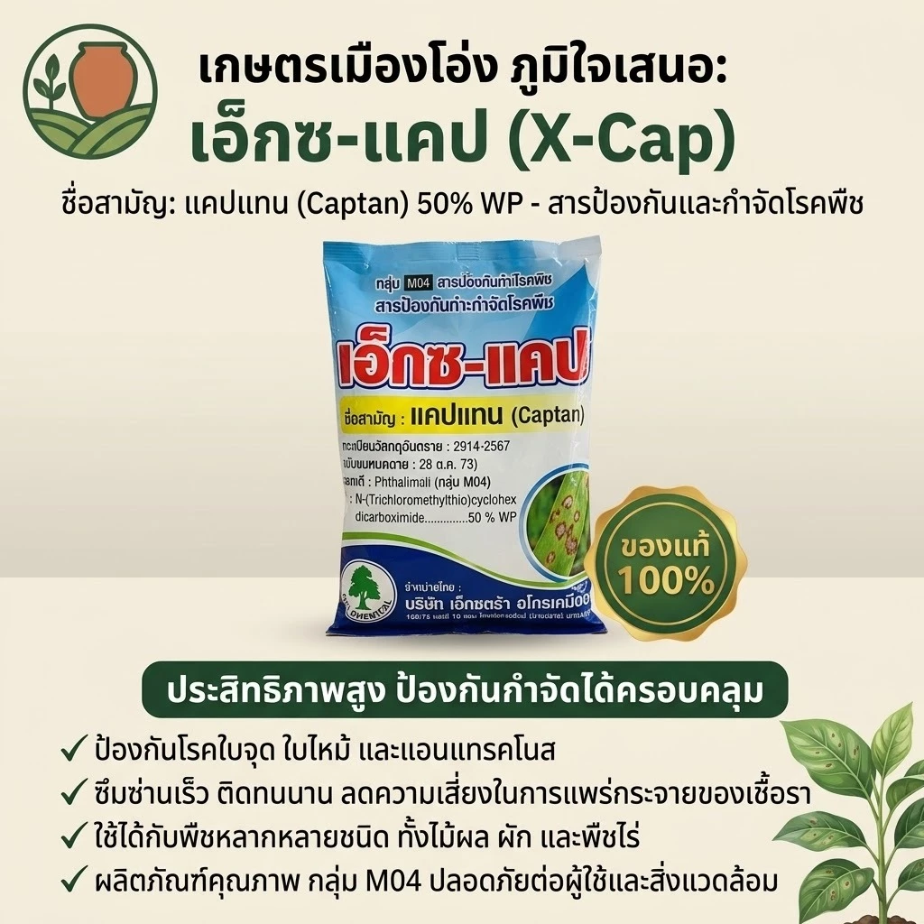 เอ็กซ-แคป (แบบถุง1กก) แคปแทน (captan) 50% WP ขนาดบรรจุ 1 กิโลกรัม #แคปเทน #captan #กันรา #กำจัดเชื้อรา