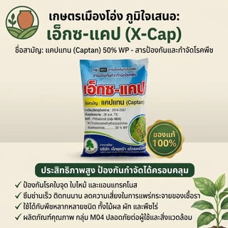 เอ็กซ-แคป (แบบถุง1กก) แคปแทน (captan) 50% WP ขนาดบรรจุ 1 กิโลกรัม #แคปเทน #captan #กันรา #กำจัดเชื้อรา