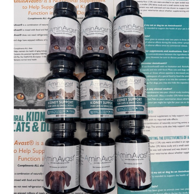 Pre order ❌ ตัวแทน Renavast 📍AminAvast Kidney Support for Cats and Dogs 60 Capsules นำเข้าจากUSA