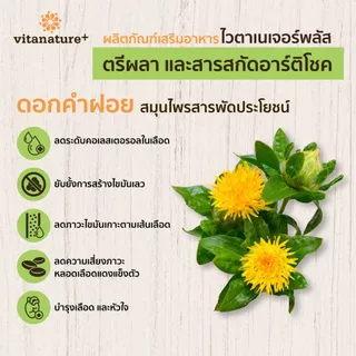 Vitanature plus ตรีผลา และ อาร์ติโช๊ค บำรุงตับ ล้างพิษตับ