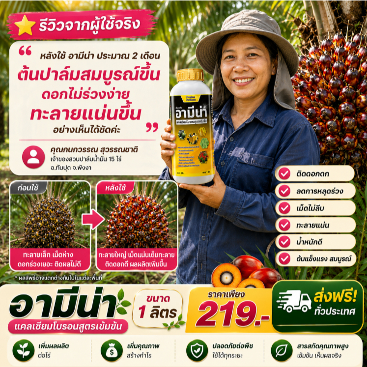 อามีน่า แคลเซียมโบรอนสูตรเข้มข้น ปุ๋ยบำรุงปาล์มน้ำมัน ช่วยติดดอก ติดผล เพิ่มผลผลิต 1 ลิตร