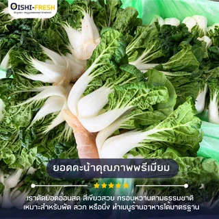 🛒Oishi-Fresh🥬ผักฉ่อย ปลอดสารพิษ 1 กก. รสชาติกรอบ สด ใหม่ ใยอาหารสูง หวานออร์แกนิค เคลมได้ 1-2 วัน