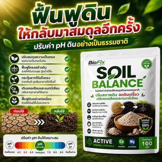 BioFix Soil Balance สารปรับปรุงดิน เติมแร่ธาตุ ปรับ pH ดิน แก้ดินเป็นกรด ปลูกอะไรก็งาม 100 g. โดโลไมท์