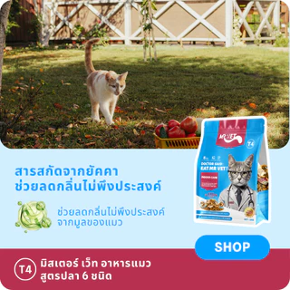 MRVET T4 T1 T2 T3 อาหารเม็ดแมว แพ็ค 1 กก. - ลดกลิ่นเหม็น สำหรับแมวในบ้าน