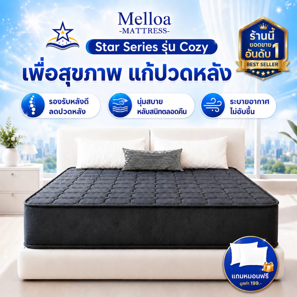 ที่นอนสปริง หนา 8/9 นิ้ว ขนาด 3.5/5/6 ฟุต
