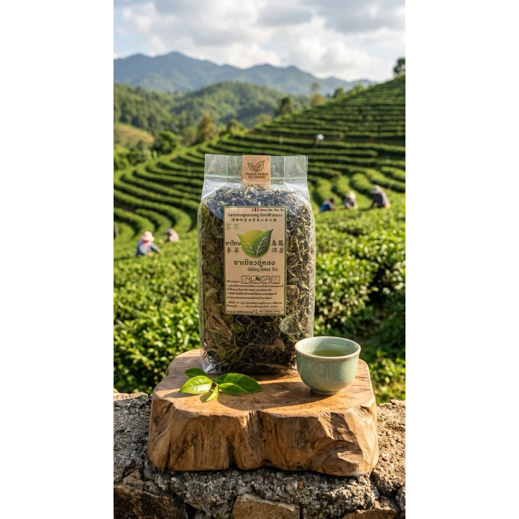 ชาเขียวอู่หลงดั้งเดิม ขนาด200กรัม 烏龍綠茶