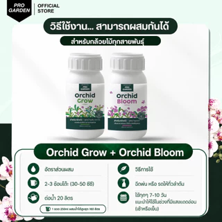 Progarden เซ็ทคู่บำรุงกล้วยไม้ [Orchid Grow + Bloom] เพิ่มช่อดอก ลำลูกกล้วยอวบใหญ่ รากขาว ใบเขียวหนา ปุ๋ยกล้วยไม้ อะมิโน