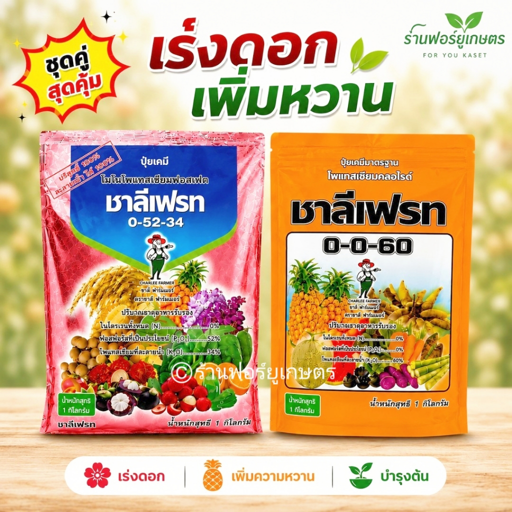 ปุ๋ยเร่งดอก เพิ่มหวาน ชุดชาลีเฟรท 0-52-34 + ชาลีเฟรท 0-0-60  ผลแน่น น้ำหนักดี ใช้ได้กับทุเรียน ไม้ผล