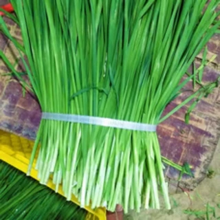 เมล็ดพันธุ์ กุยช่าย ประมาณ200เมล็ด Chives Seeds [ 10 เเถม 1 คละได้ ]
