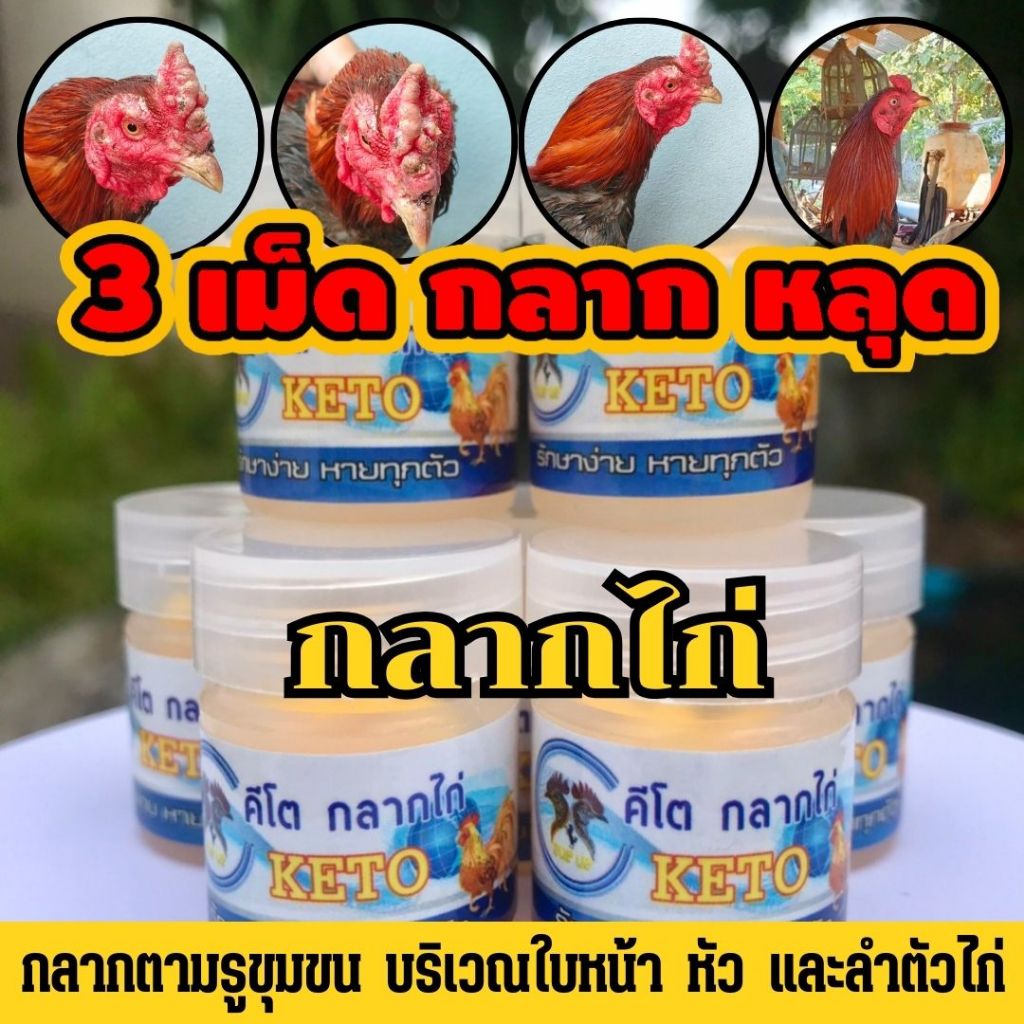 คีโต กลากไก่ เชื้อรา บริเวณใบหน้าและลำตัว