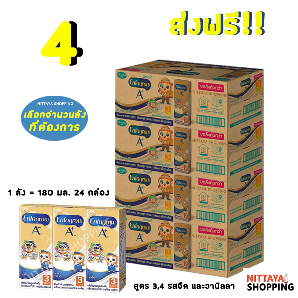 4 ลัง ส่งฟรี! Enfagrow A+ เอนฟาโกร เอพลัส นกฮูก สูตร 3 และ 4 รสจืด 180 มล 24 กล่อง นมจืด นมกล่อง