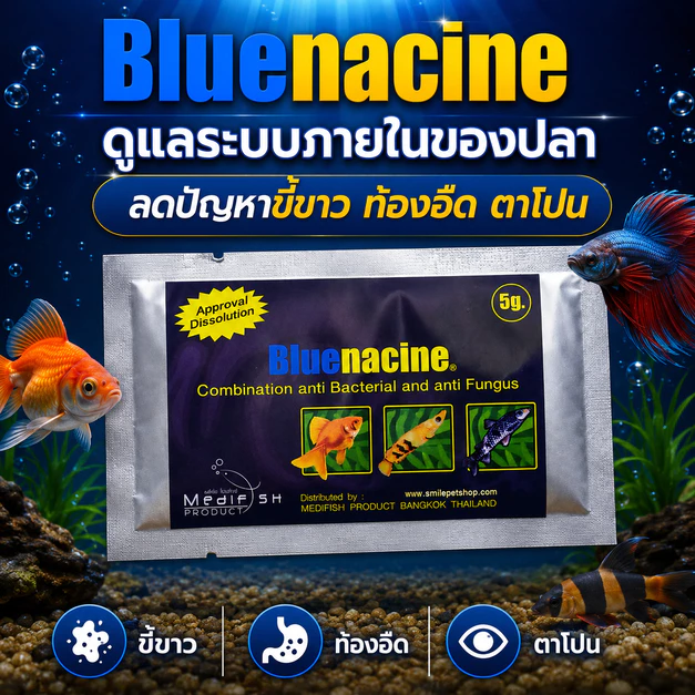 Bluenacine 5g. ดูแลระบบภายในของปลา ลดอาการท้องอืด ขี้ขาว ตาโปน