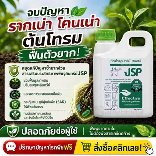 JSP จุลินทรีย์ชนิดน้ำ (EM) ซื้อ 4 แถม 2 แกลลอนๆละ 1 ลิตร (รวม 6 ลิตร)