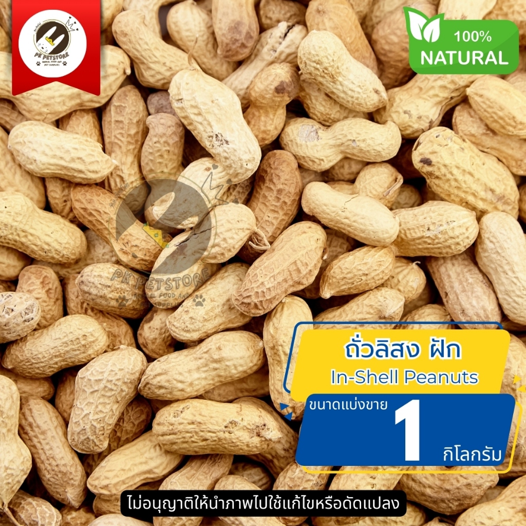ธัญพืช Seed ถั่วลิสง (ถั่วไทย/นอก) สำหรับ นกทุกสายพันธุ์ หนูแฮมเตอร์ กระรอก และสัตว์ฟันเเทะ (แบ่งขาย1กิโลกรัม)